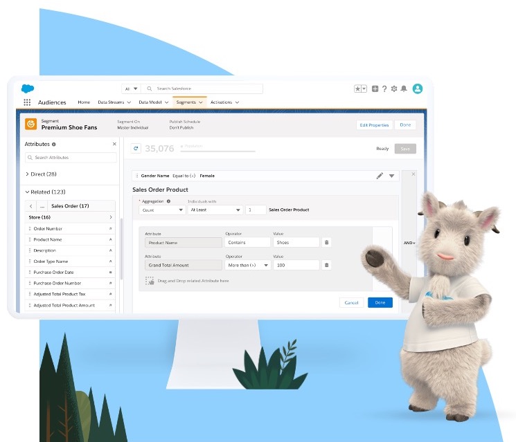 Salesforce Customer Data Platform